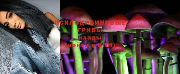 ешки Вязники
