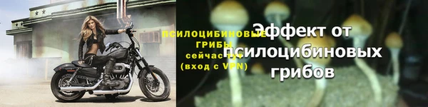 ешки Вязники